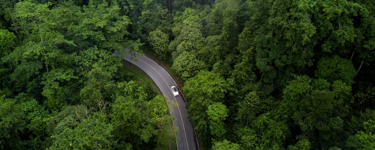 Aerial photo of an EV driving through a forest